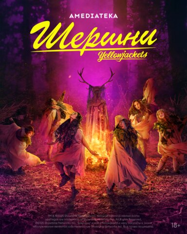 Смотреть Шершни 4 сезон онлайн бесплатно в HD качестве на русском языке